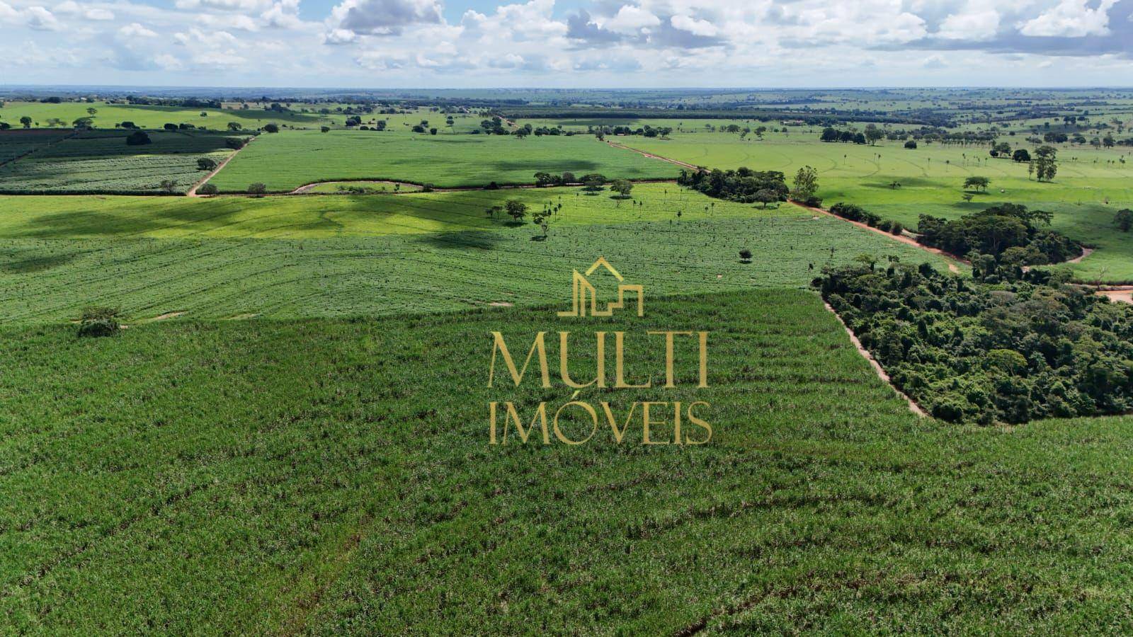 Fazenda à venda com 3 quartos, 556600M2 - Foto 5