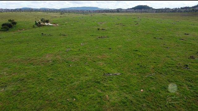 Fazenda-Sítio-Chácara, 936 hectares - Foto 3