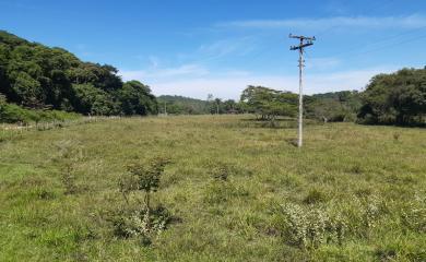 Fazenda à venda com 2 quartos, 290000m² - Foto 3