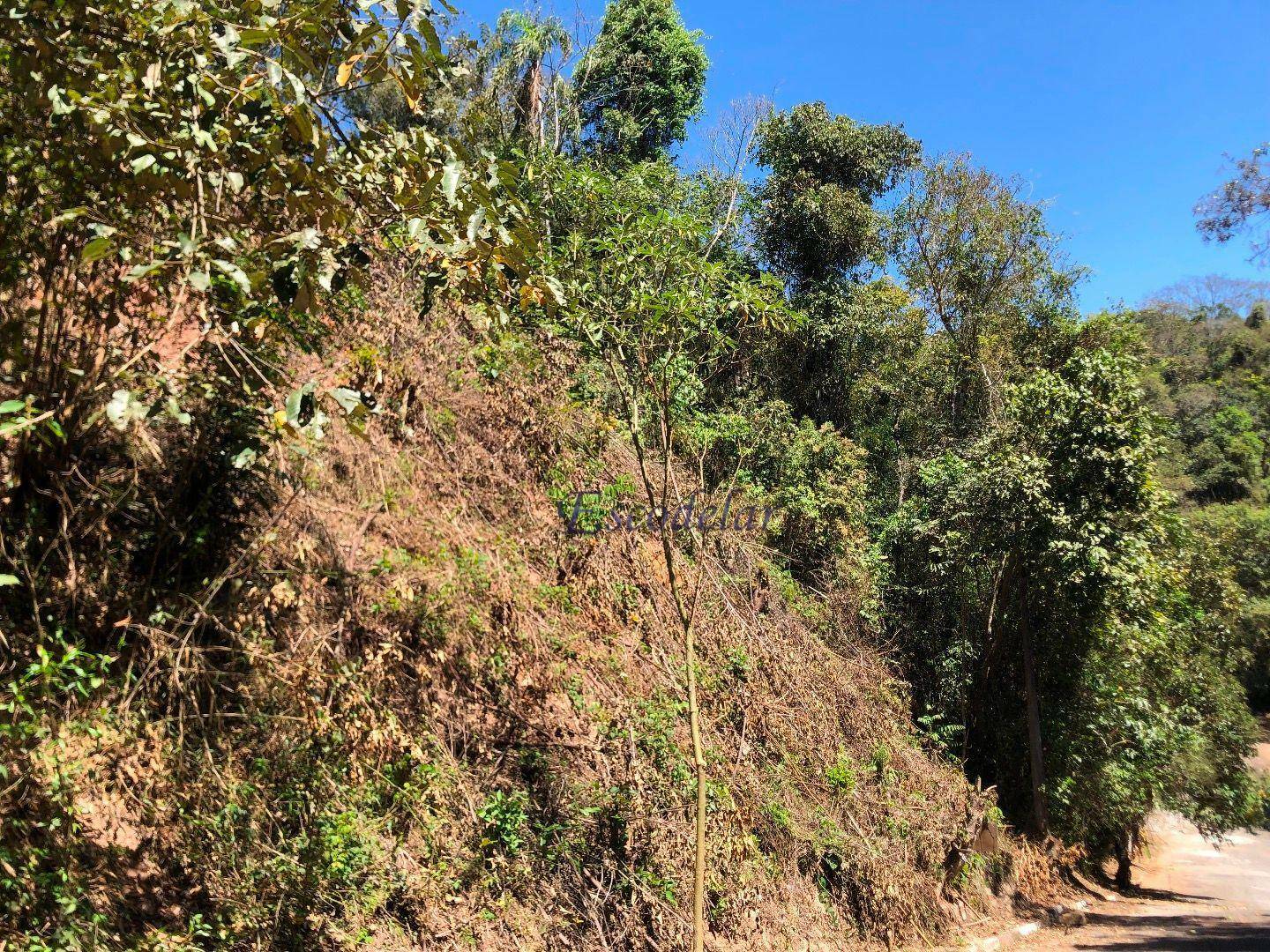 Loteamento e Condomínio à venda, 1500M2 - Foto 4