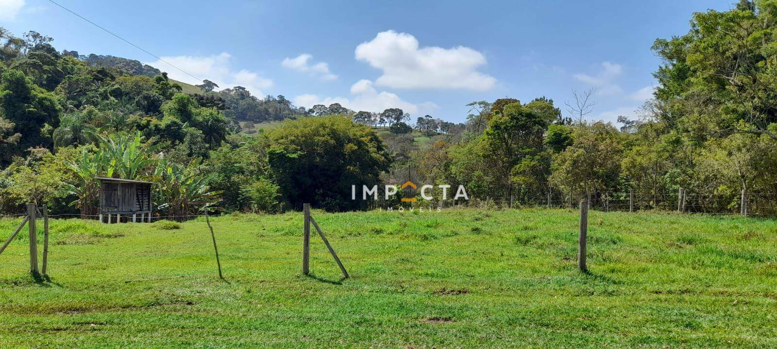 Chácara à venda com 3 quartos, 12000M2 - Foto 13