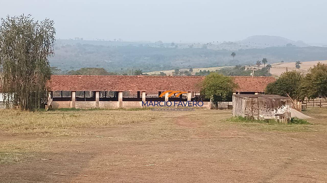 Fazenda, 121 hectares - Foto 6