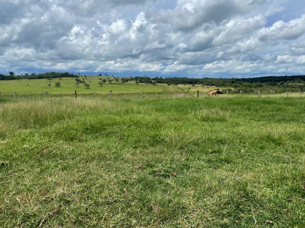 Fazenda à venda, 100m² - Foto 5