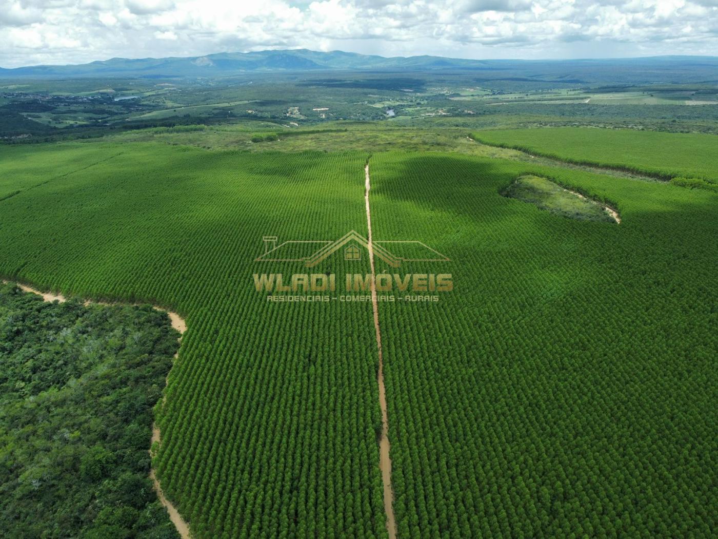 Fazenda à venda, 15764m² - Foto 8