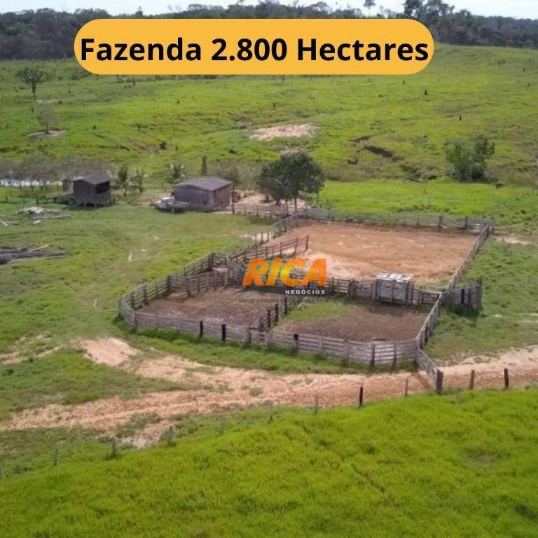 Fazenda-Sítio-Chácara, 2800 hectares - Foto 1