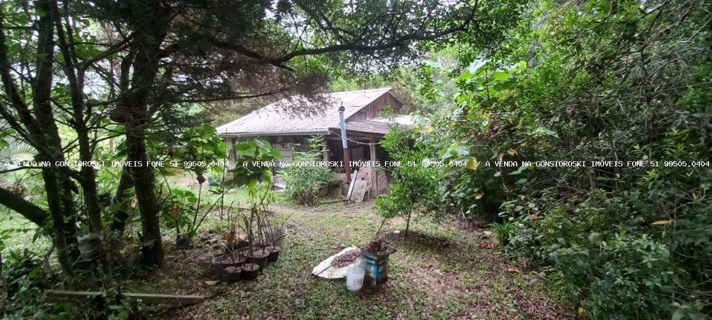 Sítio à venda com 3 quartos, 3m² - Foto 3