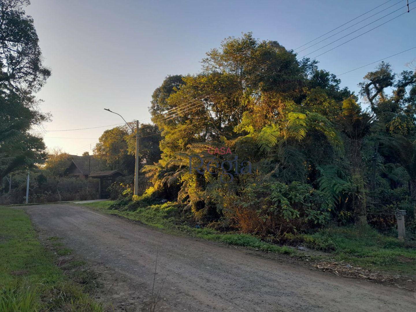 Terreno à venda, 838M2 - Foto 6