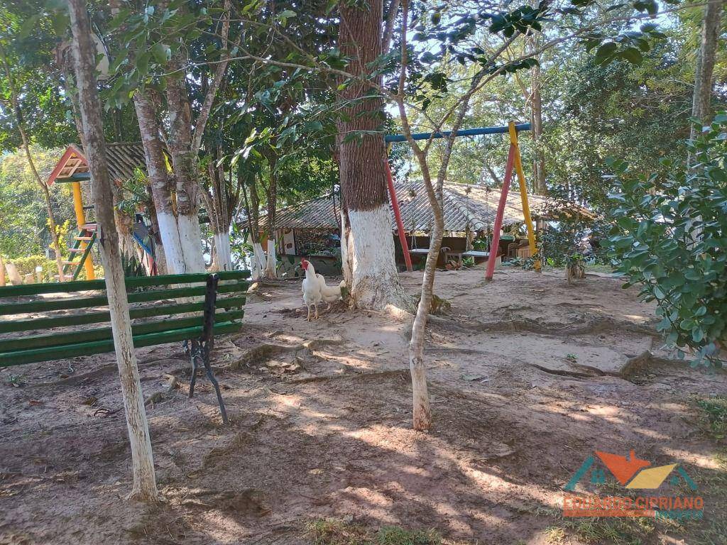 Sítio, 5 quartos, 4854 m² - Foto 26