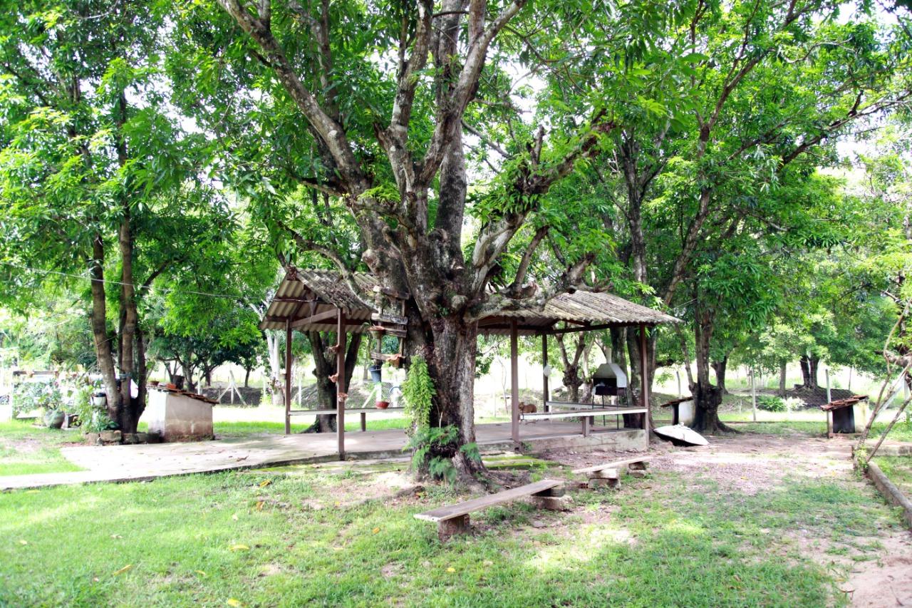 Chácara à venda com 3 quartos, 30000m² - Foto 22