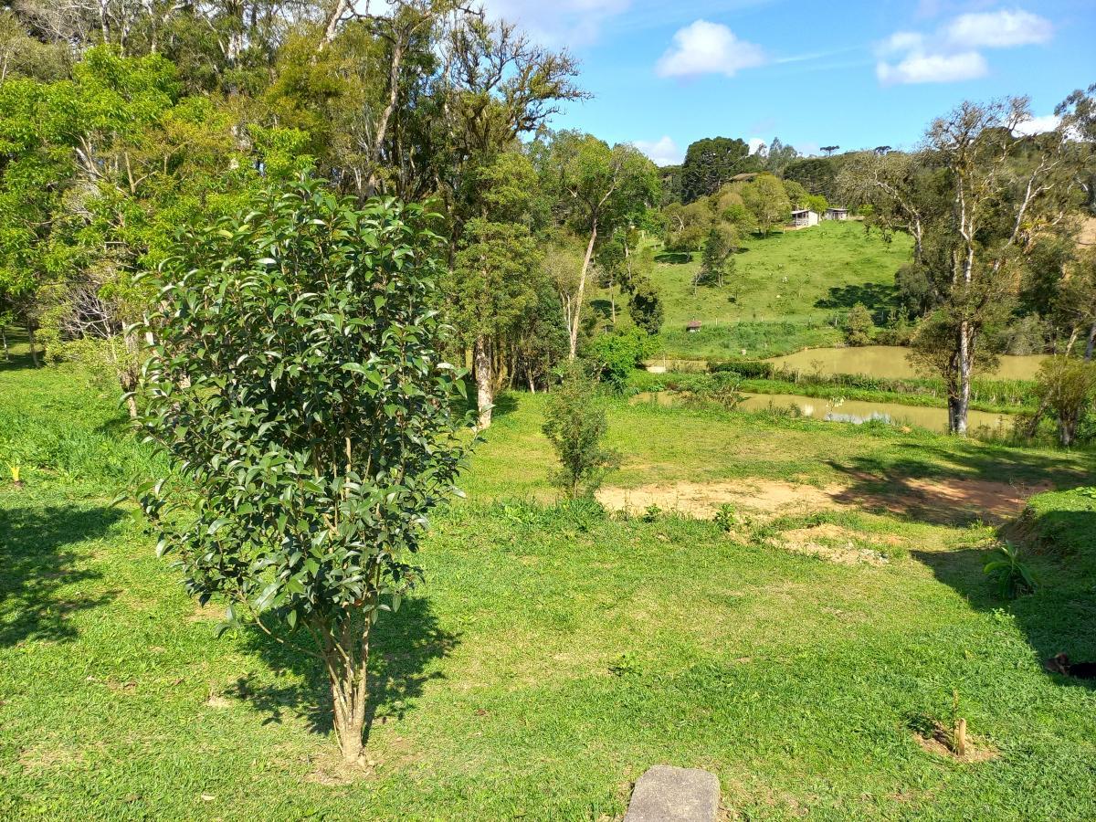 Fazenda à venda, 9075m² - Foto 12