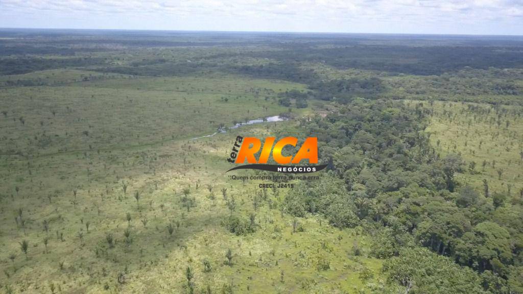 Fazenda, 300 hectares - Foto 11