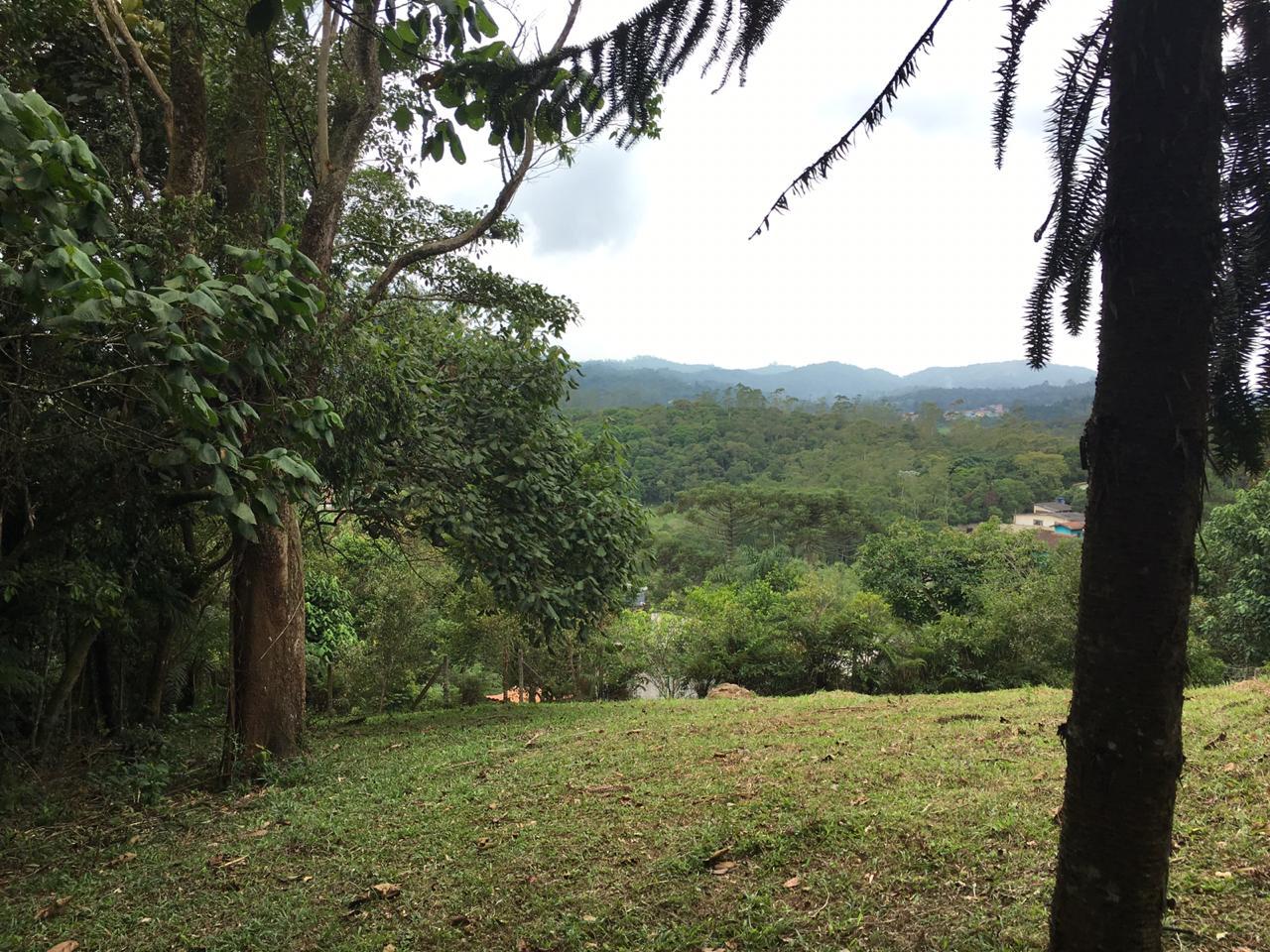 Fazenda à venda com 2 quartos, 1890m² - Foto 13