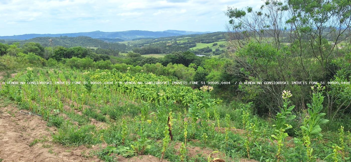 Loteamento e Condomínio à venda, 125000m² - Foto 12