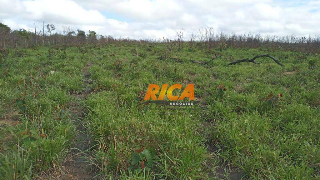 Fazenda à venda, 4000000M2 - Foto 10