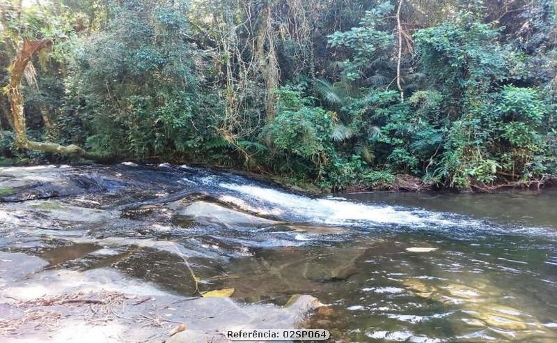 Fazenda à venda com 3 quartos, 160000m² - Foto 6