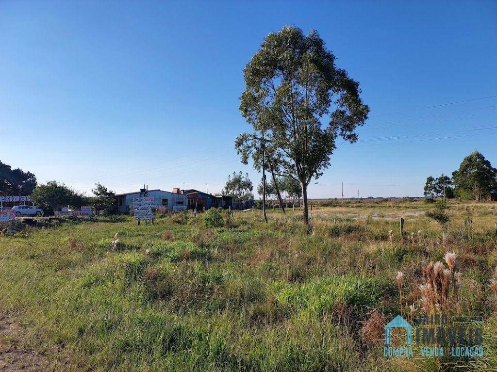 Terreno à venda, 10000M2 - Foto 7