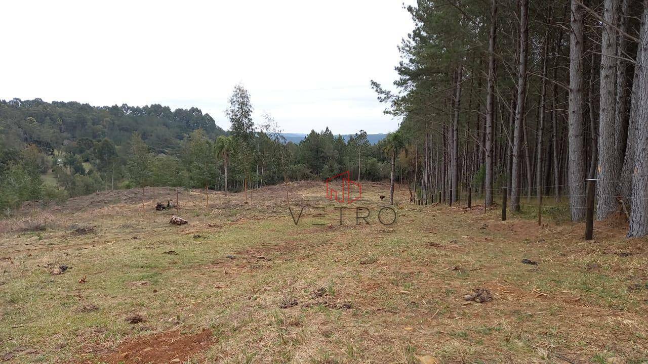 Terreno à venda, 6613M2 - Foto 9