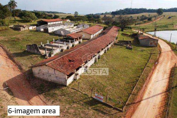 Sítio à venda com 4 quartos, 16600M2 - Foto 5