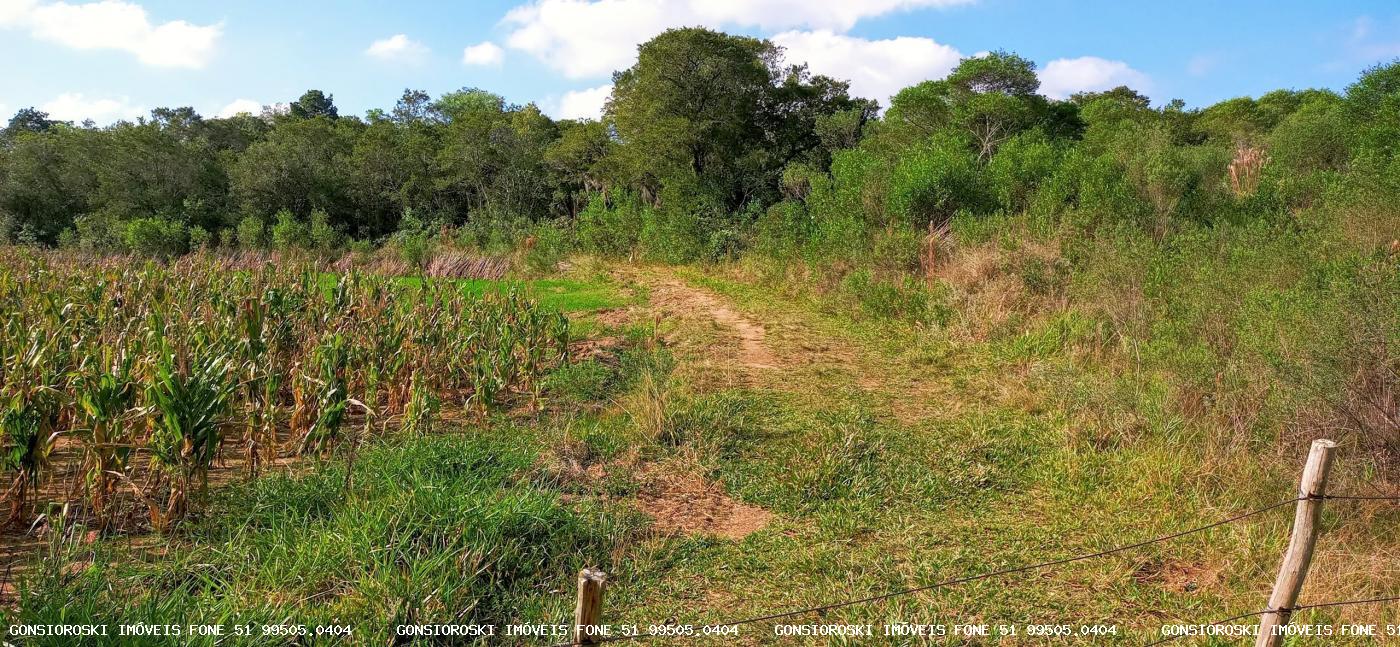 Loteamento e Condomínio à venda com 4 quartos, 370000m² - Foto 24