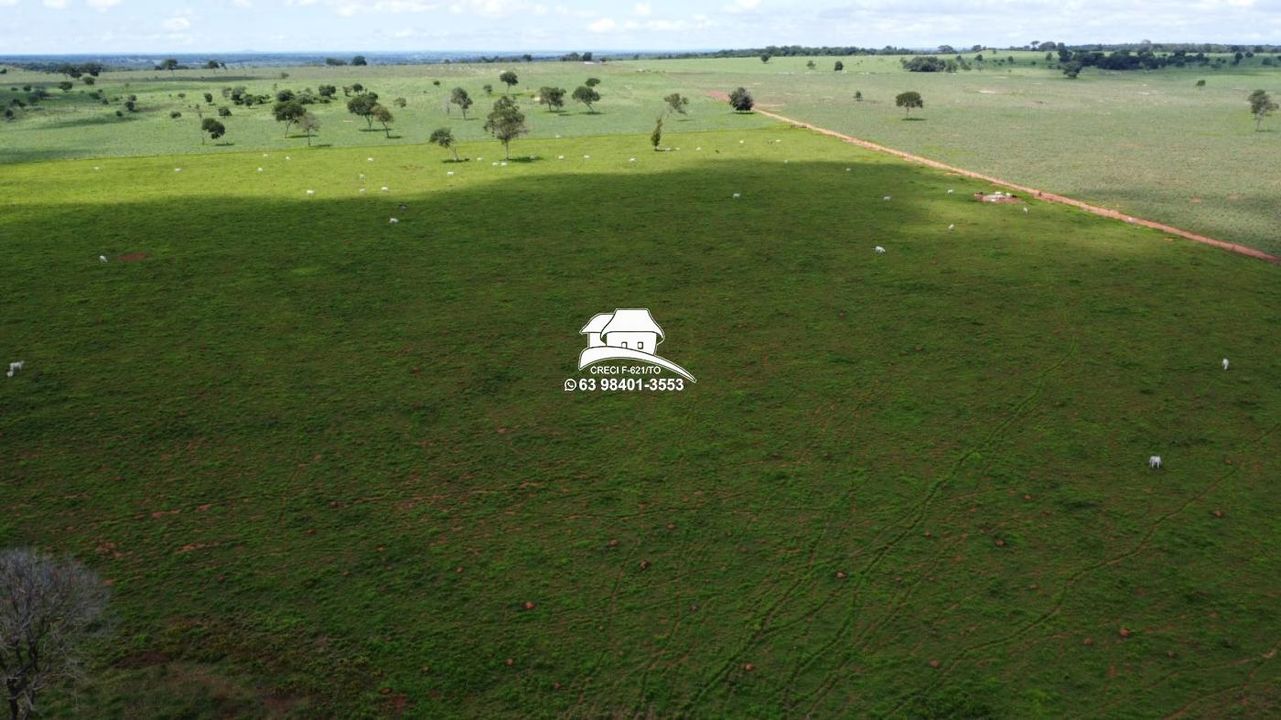 Fazenda à venda, 1m² - Foto 11