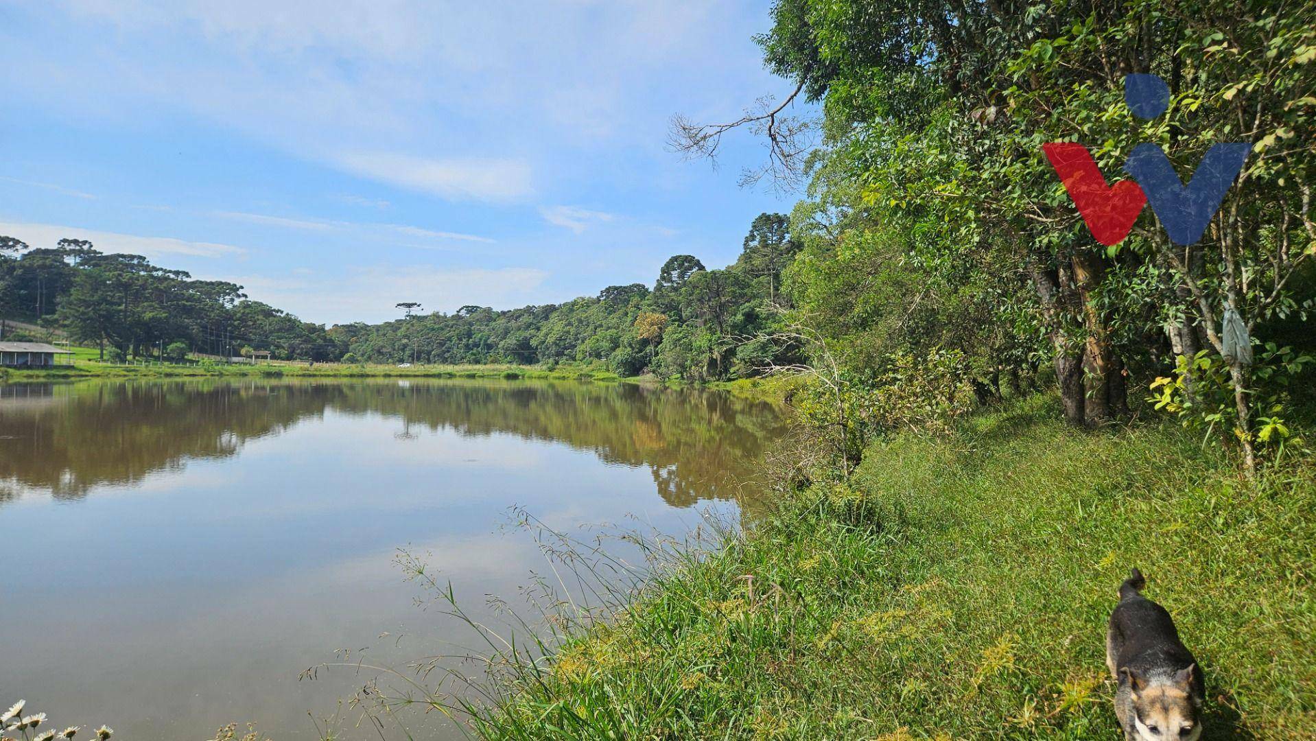 Chácara à venda com 3 quartos, 22454M2 - Foto 51