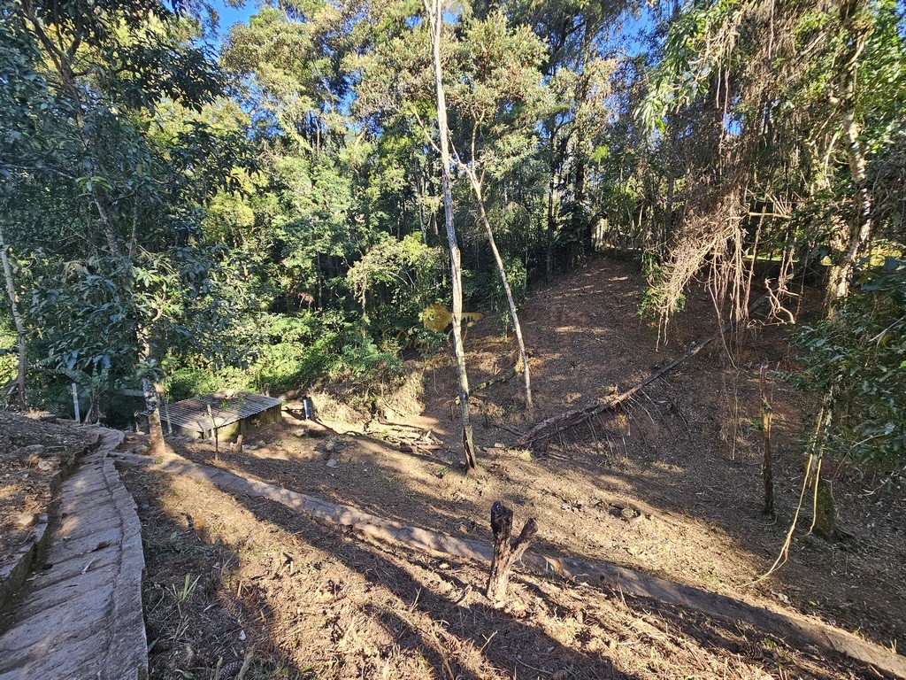 Casa à venda com 3 quartos, 253m² - Foto 14