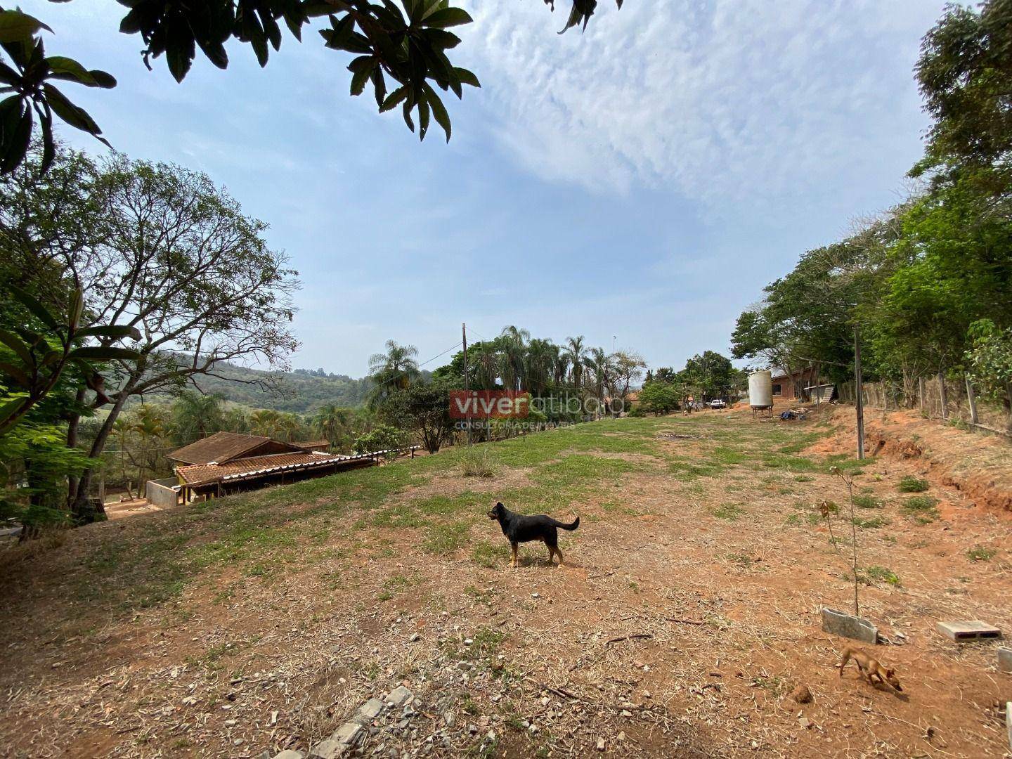 Chácara, 5 quartos, 3530 m² - Foto 5