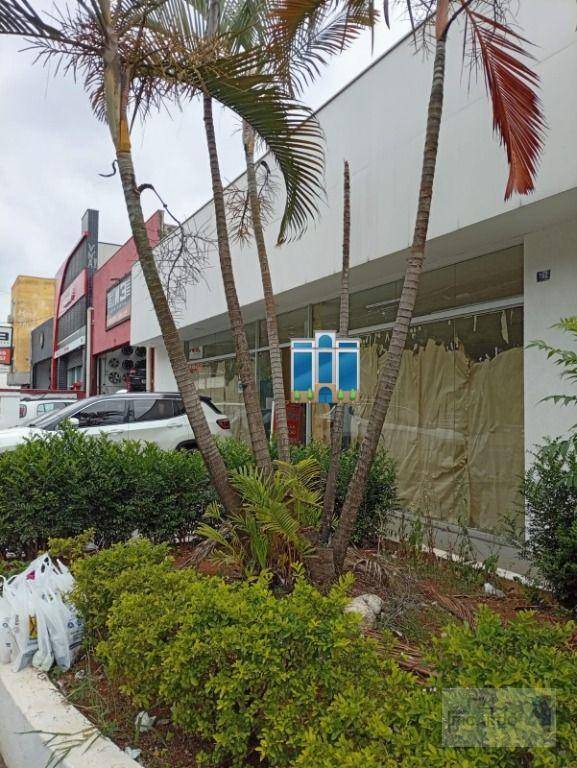 Loja-Salão, 582 m² - Foto 3