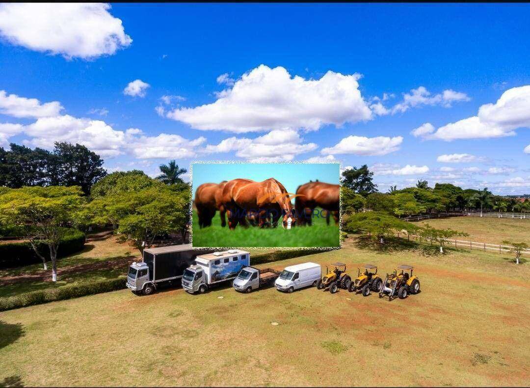 Haras e Área Rural Padrão à venda, 1517340M2 - Foto 4