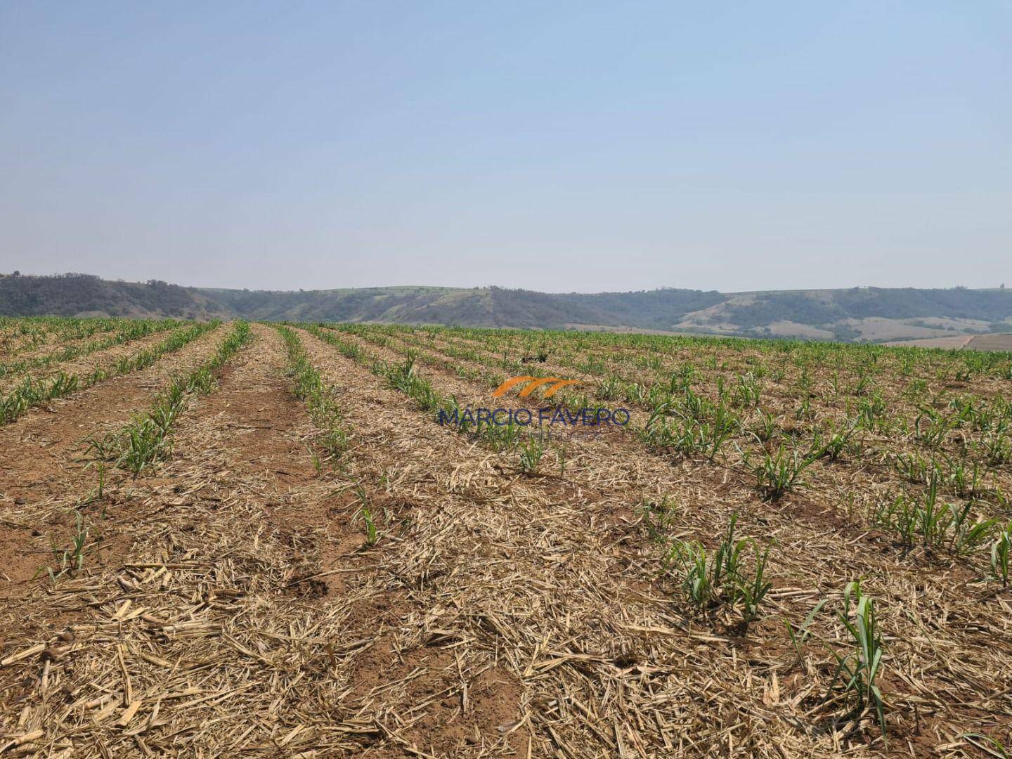 Fazenda à venda, 2299000M2 - Foto 25