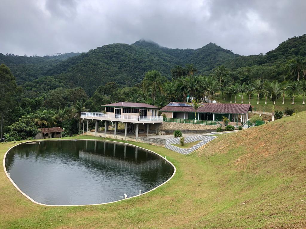 Fazenda à venda com 4 quartos, 1000m² - Foto 4