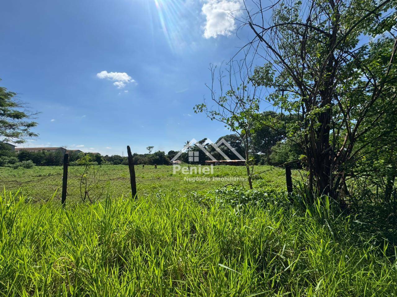 Terreno, 2 hectares - Foto 2