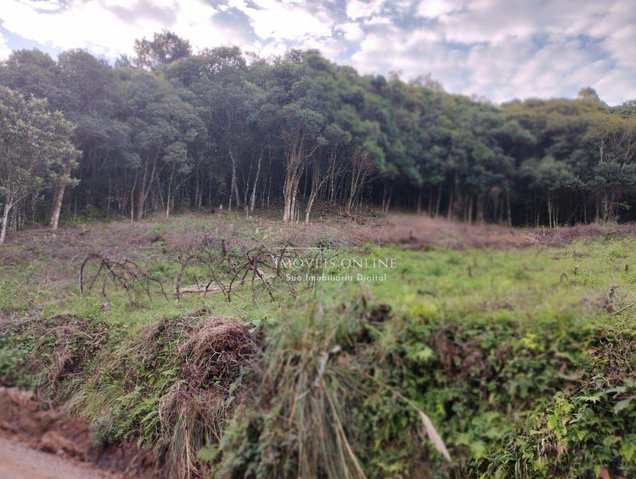 Chácara à venda, 20000M2 - Foto 6