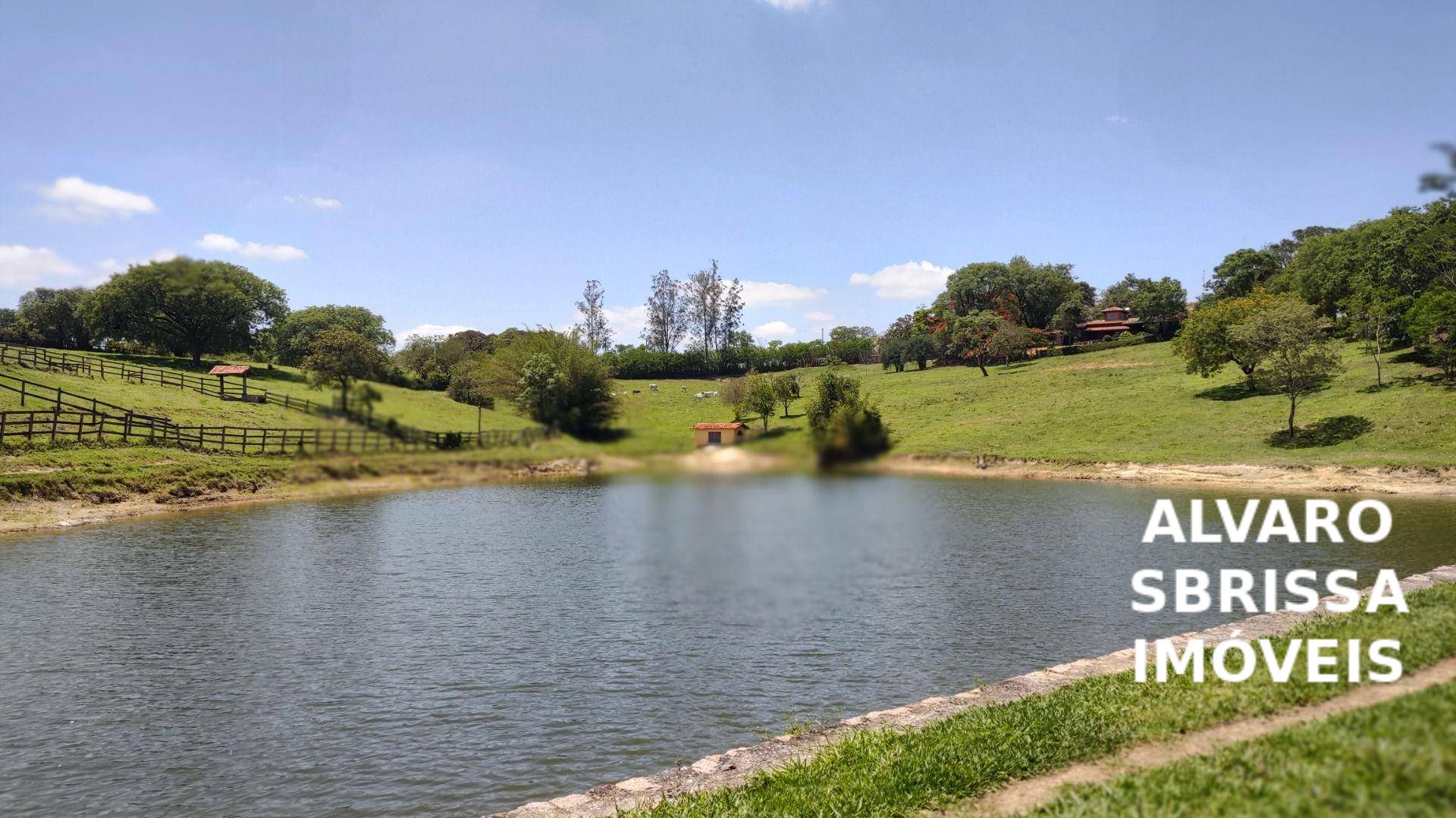 Sítio, 6 quartos, 11 hectares - Foto 1