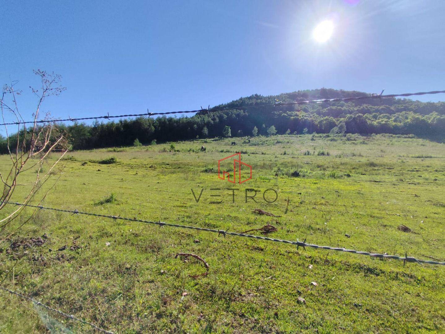 Sítio, 4 hectares - Foto 6