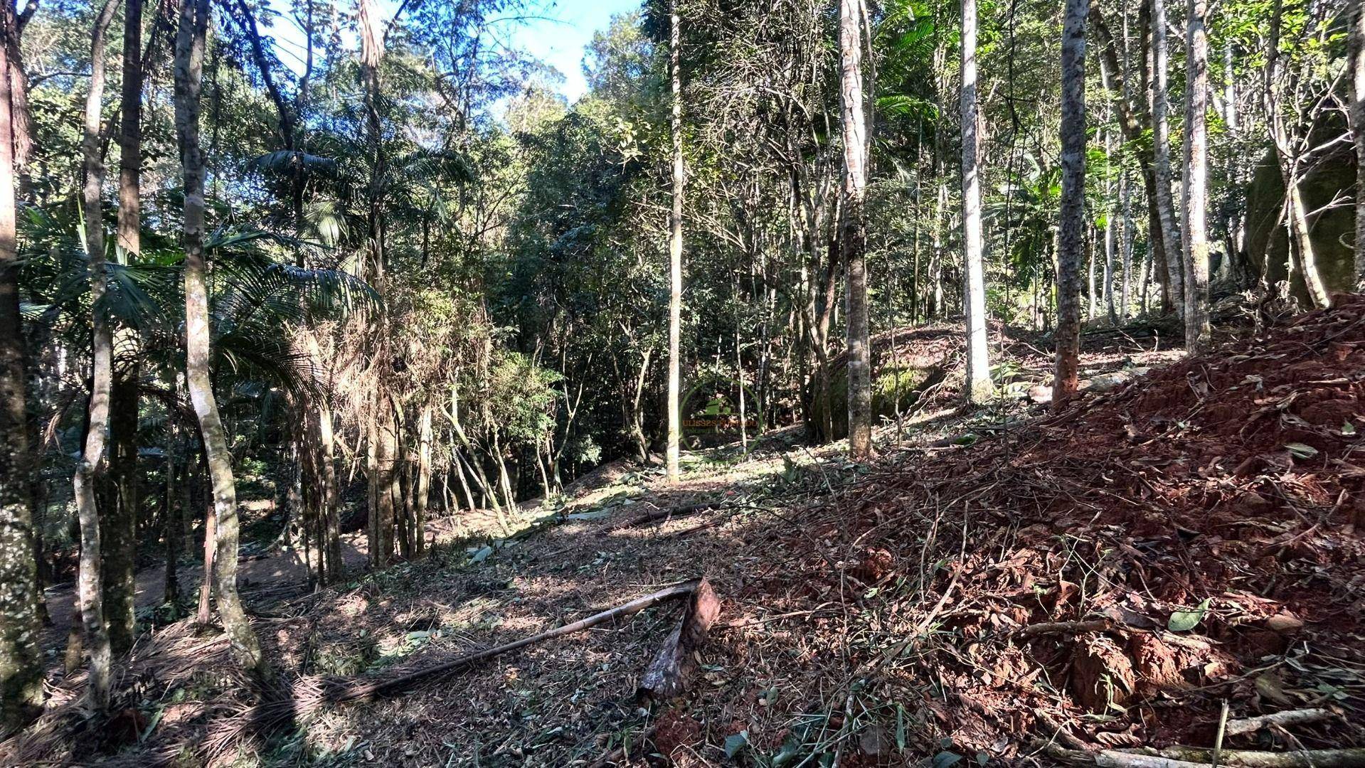 Terreno, 10000 m² - Foto 9