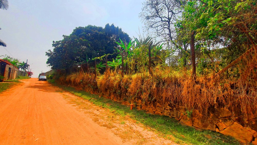 Terreno à venda, 1000m² - Foto 2