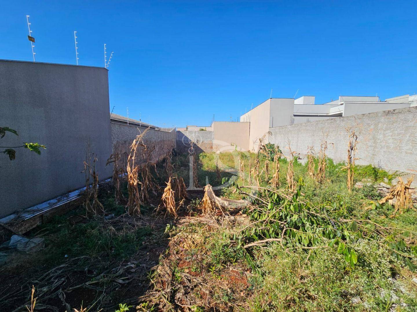 Terreno, 250 m² - Foto 12