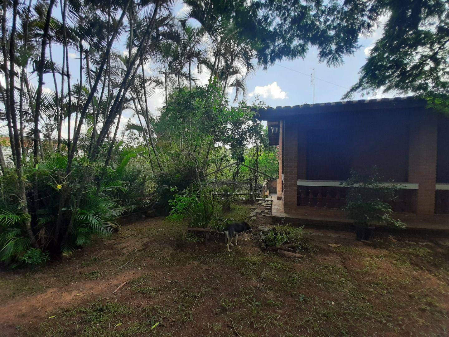 Terreno, 1 hectares - Foto 4