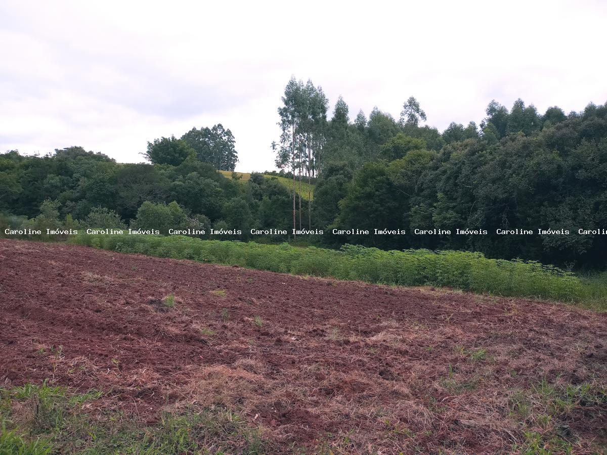 Chácara à venda, 45000m² - Foto 10