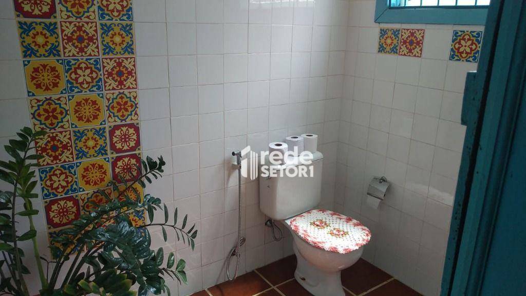 Sítio à venda com 5 quartos, 170000M2 - Foto 12