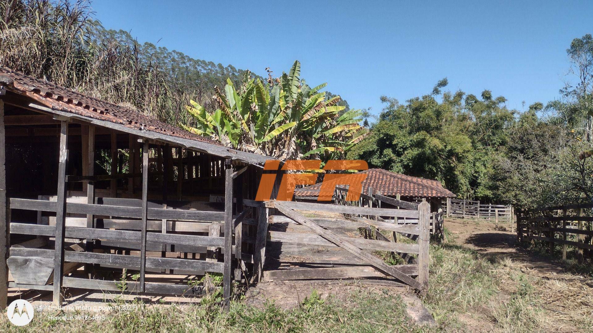 Sítio à venda com 4 quartos, 200m² - Foto 29