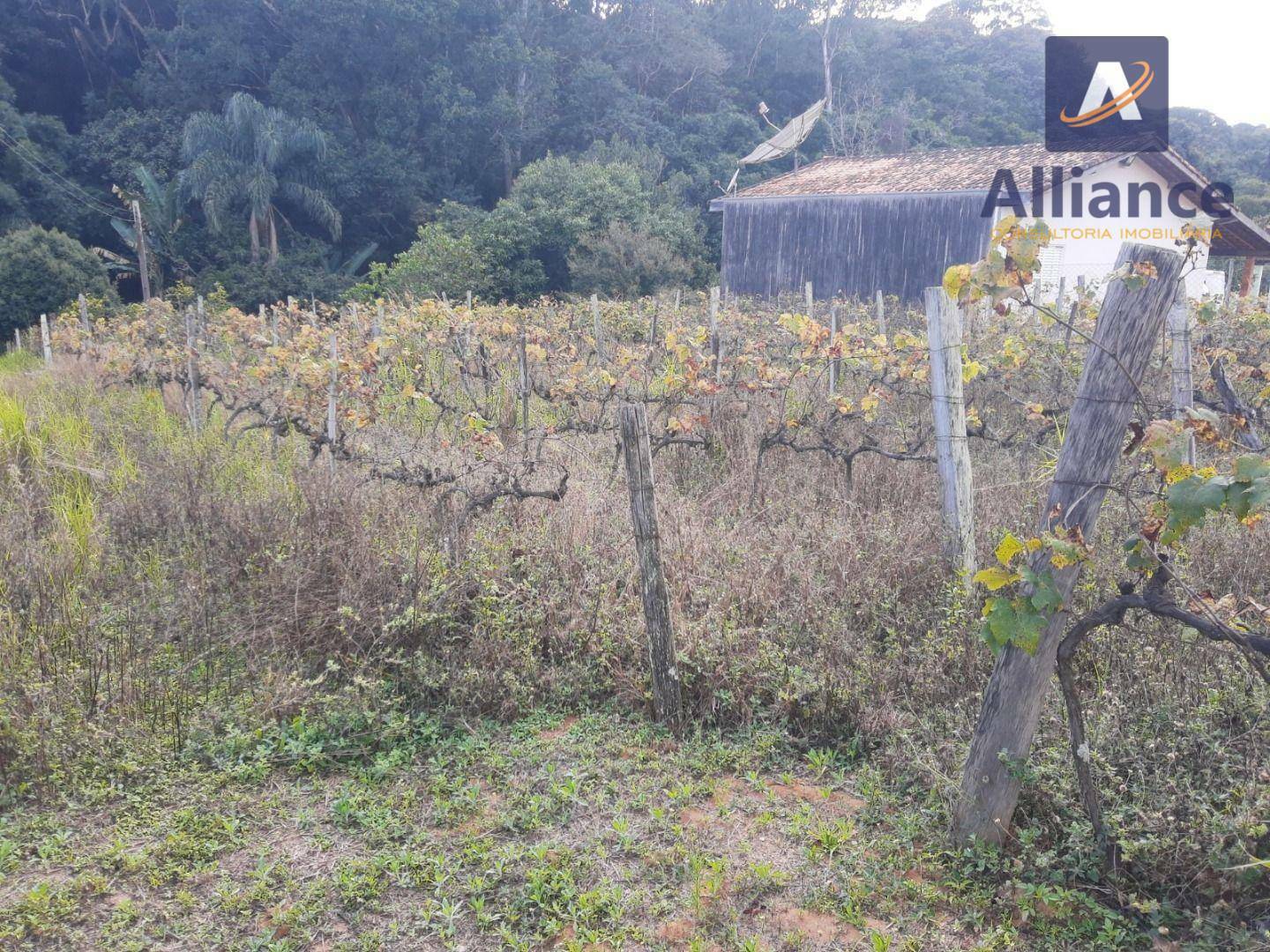 Terreno à venda, 1632M2 - Foto 24