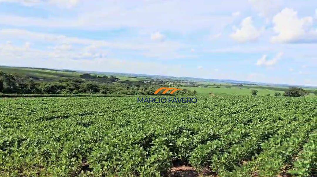 Fazenda, 194 hectares - Foto 5