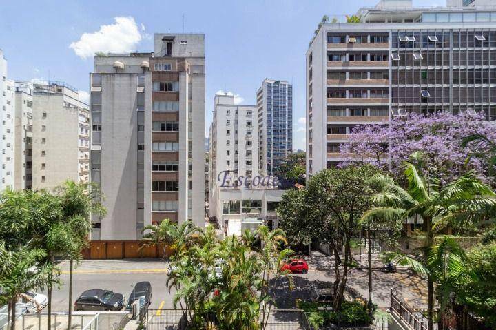 Apartamento à venda com 3 quartos, 220m² - Foto 12