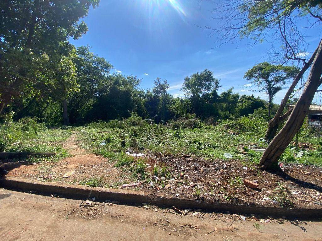 Terreno, 2607 m² - Foto 3