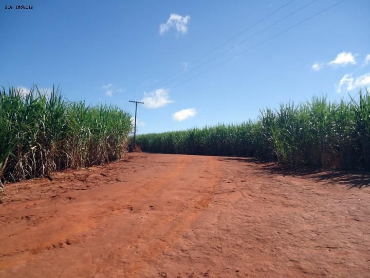 Fazenda à venda, 1468m² - Foto 8