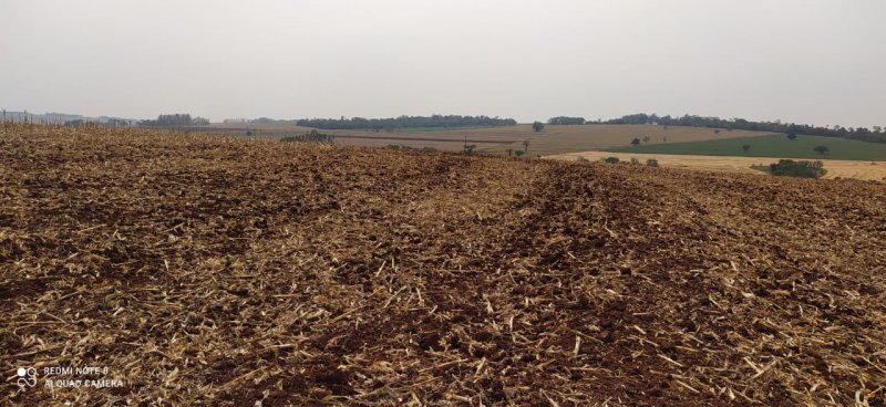 Fazenda-Sítio-Chácara, 108 hectares - Foto 5