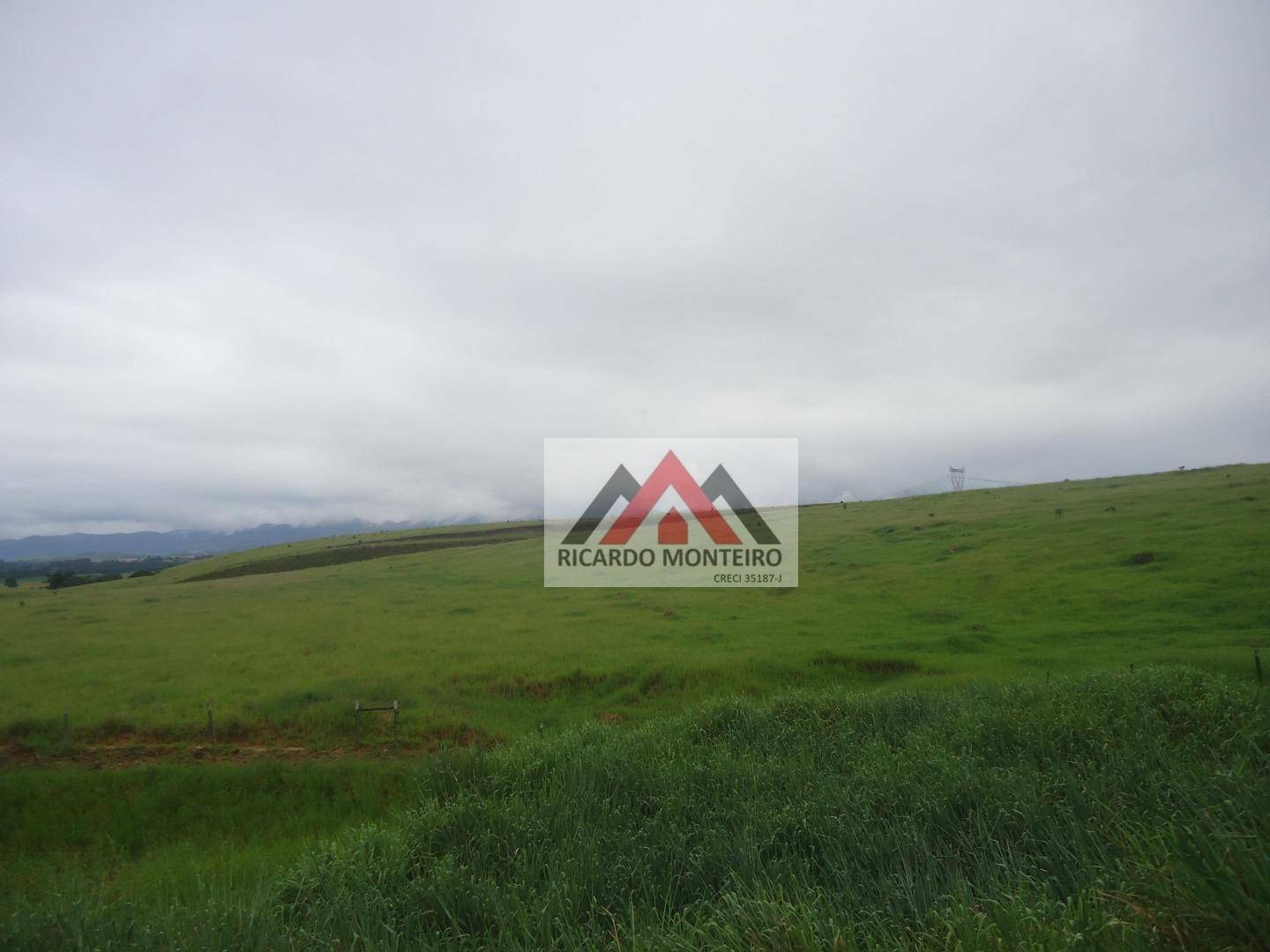 Terreno, 6 hectares - Foto 5