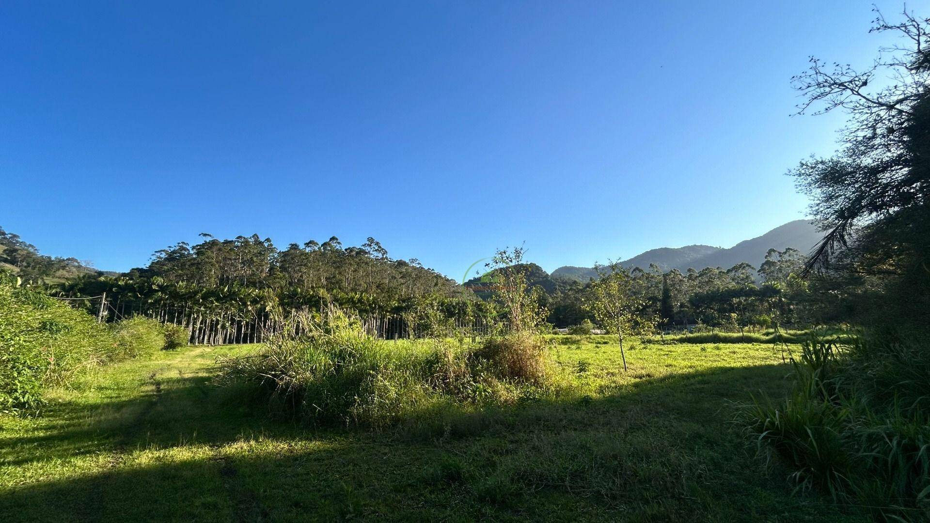 Sítio, 19 hectares - Foto 12